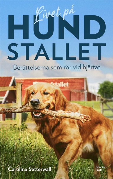 bokomslag Livet på Hundstallet : Berättelserna som rör vid hjärtat