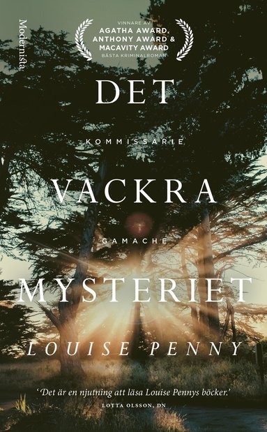 bokomslag Det vackra mysteriet