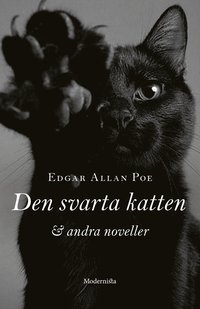 bokomslag Den svarta katten och andra noveller