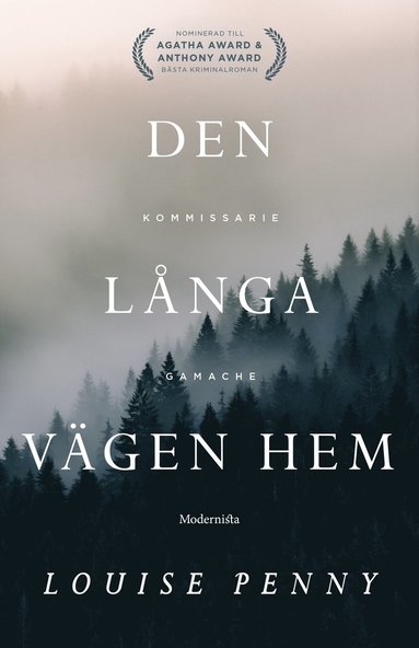 bokomslag Den långa vägen hem