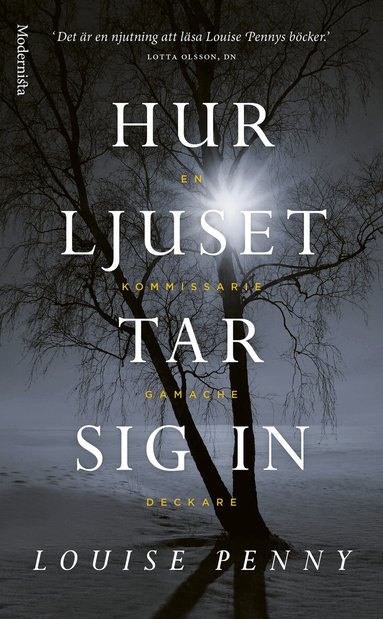 Louise Penny - Hur ljuset tar sig in, Pocket