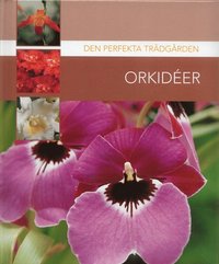 bokomslag Orkidéer