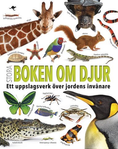 bokomslag Stora boken om djur : ett uppslagsverk över jordens invånare