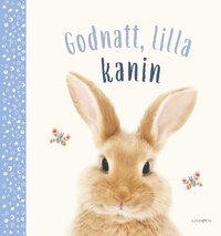 bokomslag God natt, lilla kanin