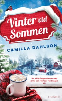 bokomslag Vinter vid Sommen