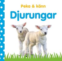 bokomslag Peka & känn : djurungar