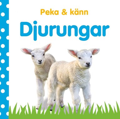 bokomslag Peka & känn. Djurungar