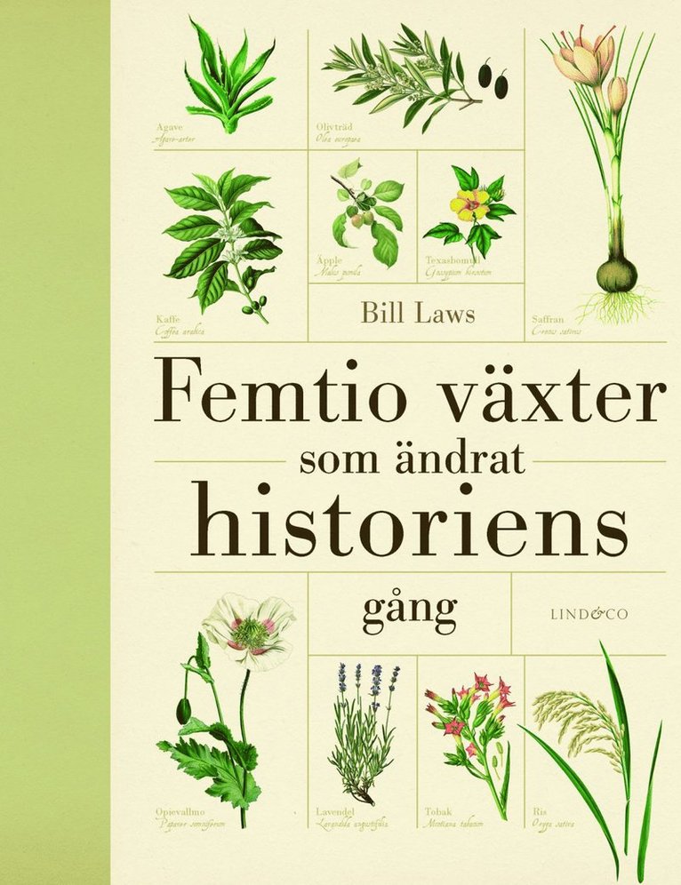 Femtio växter som ändrat historiens gång 1