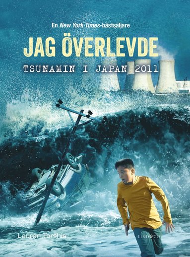 bokomslag Jag överlevde tsunamin i Japan 2011