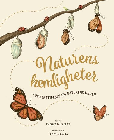 Rachel Williams - Naturens hemligheter, Inbunden