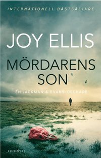 bokomslag Mördarens son