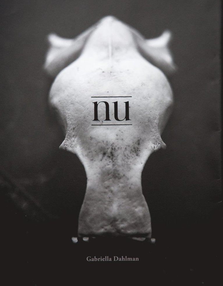 Gabriella Dahlman - Nu, Inbunden