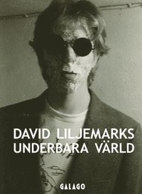 bokomslag David Liljemarks underbara värld : verk i urval 1978-2020