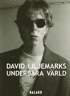 David Liljemarks underbara värld : verk i urval 1978-2020 1