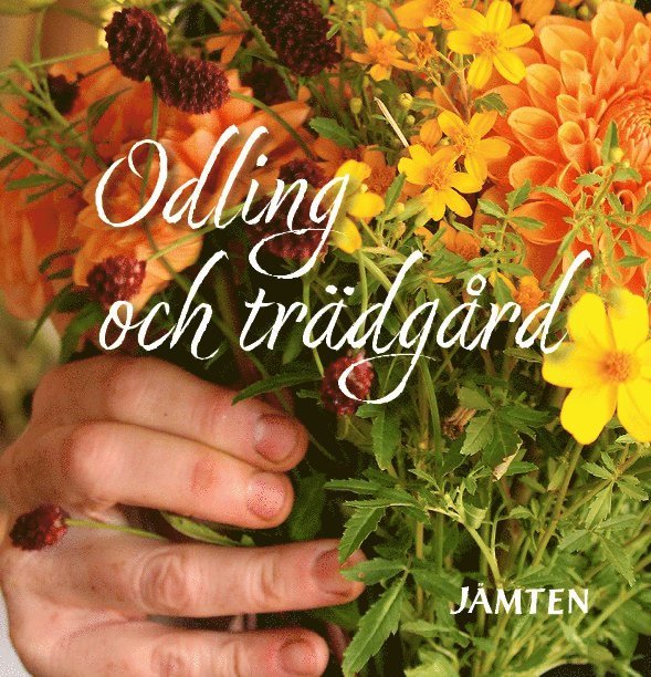 Jämten 2025 1