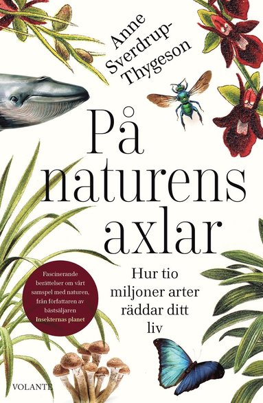 bokomslag På naturens axlar : hur tio miljoner arter räddar ditt liv