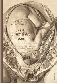 bokomslag Jag är himmel och hav : en filosofisk undersökning av graviditet, liv och jagets gränser