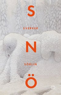 bokomslag Snö : en historia