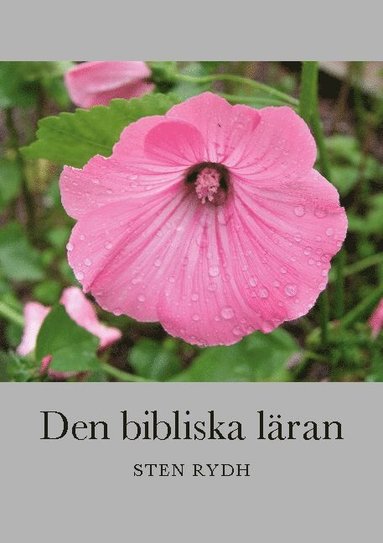 bokomslag Den bibliska läran: En sammanfattning av den evangelisk-lutherska kyrkans tro och bekännelse