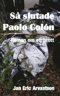 bokomslag Så slutade Paolo Colón : Roman om ett brott