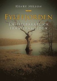 bokomslag Fylefjorden