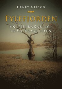 bokomslag Fylefjorden : en tillbakablick från framtiden