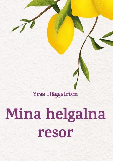 bokomslag Mina helgalna resor