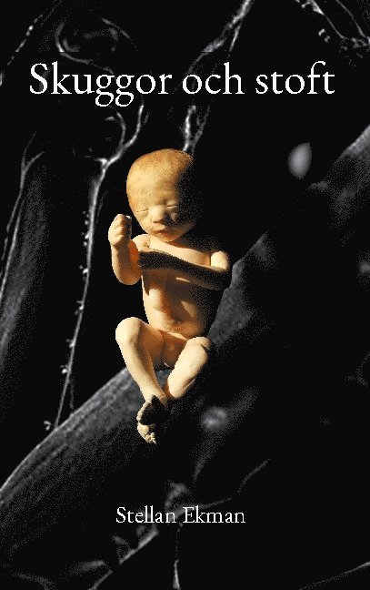 Stellan Ekman - Skuggor och stoft, Häftad