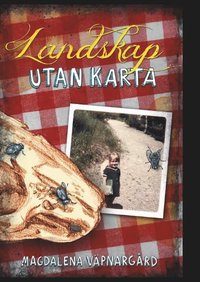 bokomslag Landskap utan karta