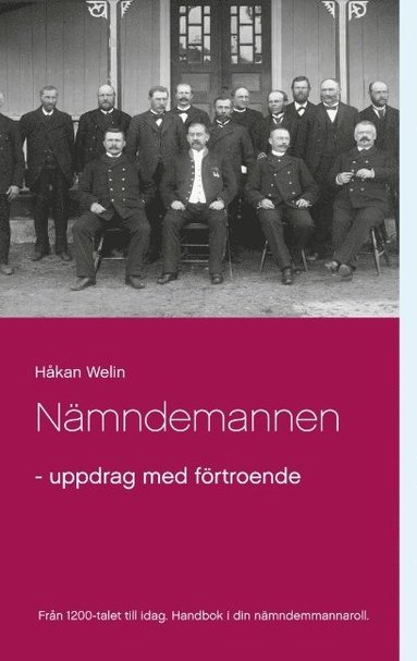 bokomslag Nämndemannen : uppdrag med förtroende