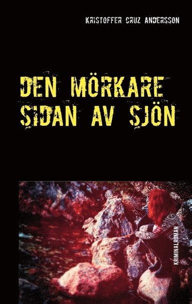 bokomslag Den mörkare sidan av sjön