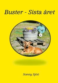 bokomslag Buster - sista året