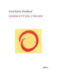 bokomslag Genom ett hål i väggen