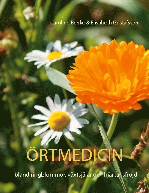 Örtmedicin : bland ringblommor, växtsjälar och hjärtansfröjd 1