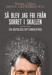 bokomslag Så blev jag fri från surret i skallen : en antologi om sinnesfrid