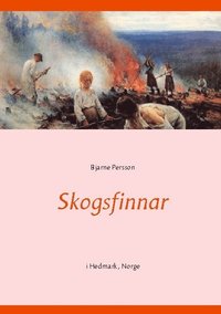 bokomslag Skogsfinnar : i Hedmark, Norge