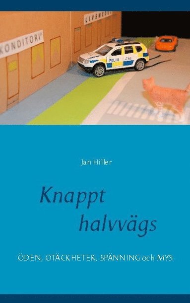 bokomslag Knappt halvvägs