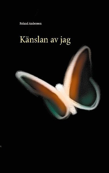 bokomslag Känslan av jag