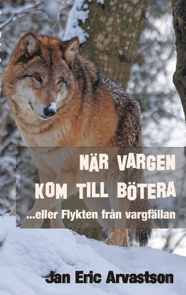 bokomslag När vargen kom till Bötera... eller Flykten från vargfällan