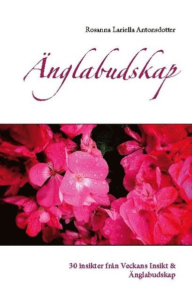 bokomslag Änglabudskap: 30 insikter från Veckans Insikt & Änglabudskap