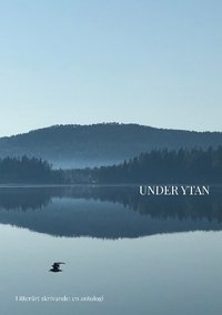 bokomslag Under ytan : en antologi - Litterärt skrivande, Hola 21-22