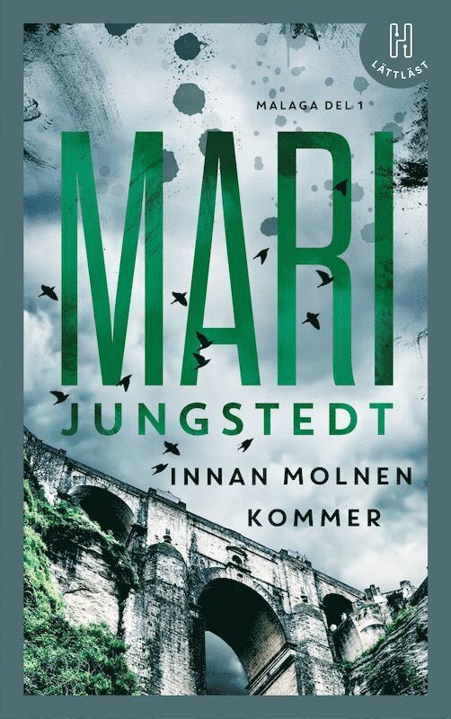 Innan molnen kommer (lättläst) 1