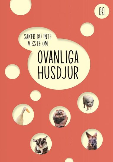 bokomslag Ovanliga husdjur