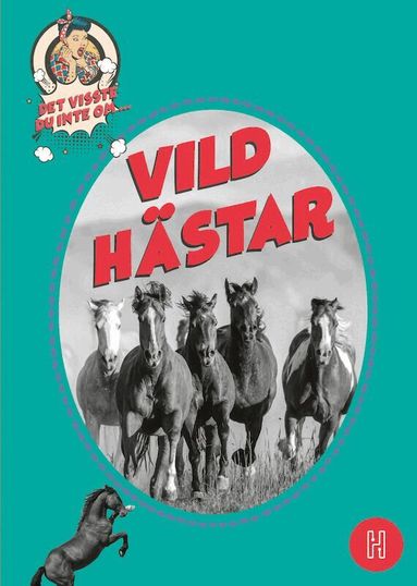Jenny Edvardsson - Det visste du inte om vildhästar, Kartonnage