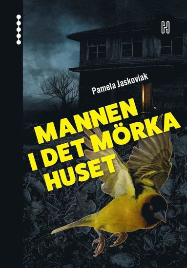 bokomslag Mannen i det mörka huset