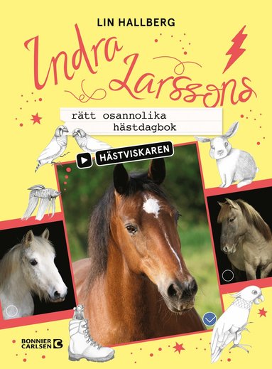 bokomslag Indra Larssons rätt osannolika hästdagbok