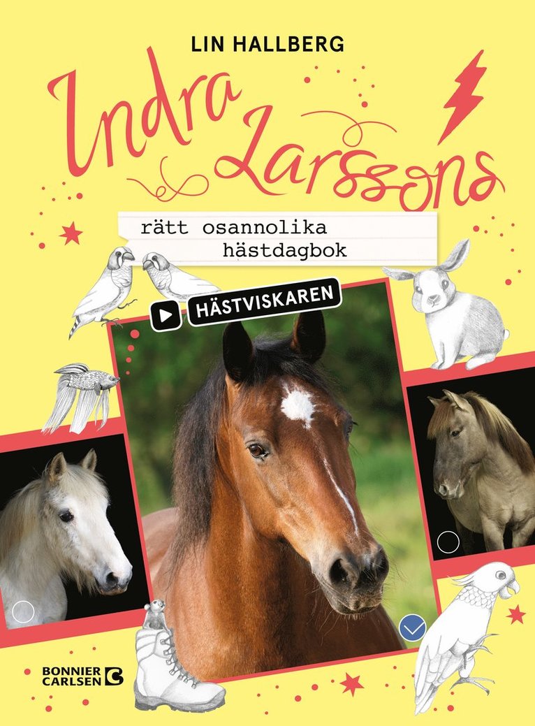 Indra Larssons rätt osannolika hästdagbok 1