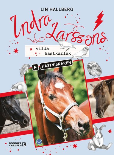 bokomslag Indra Larssons vilda hästkärlek