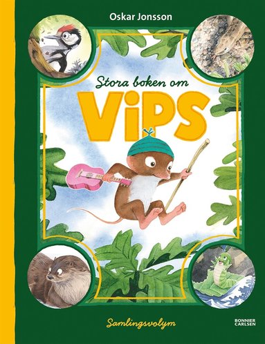 bokomslag Stora boken om Vips