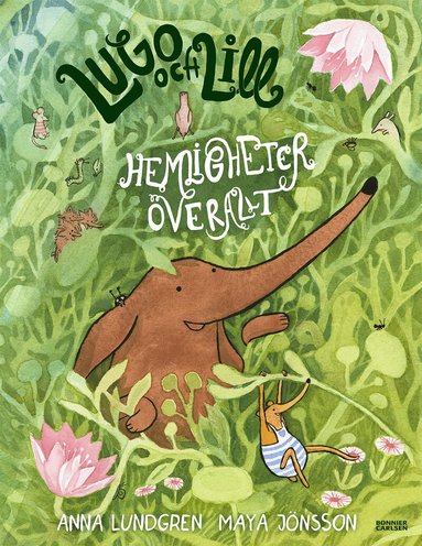 Anna Lundgren - Hemligheter överallt, Inbunden